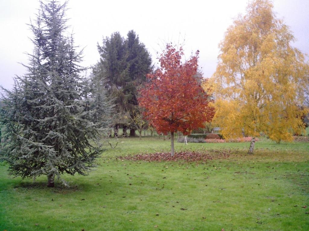 Вілла Au Jardin Fleuri Vauxaillon Екстер'єр фото