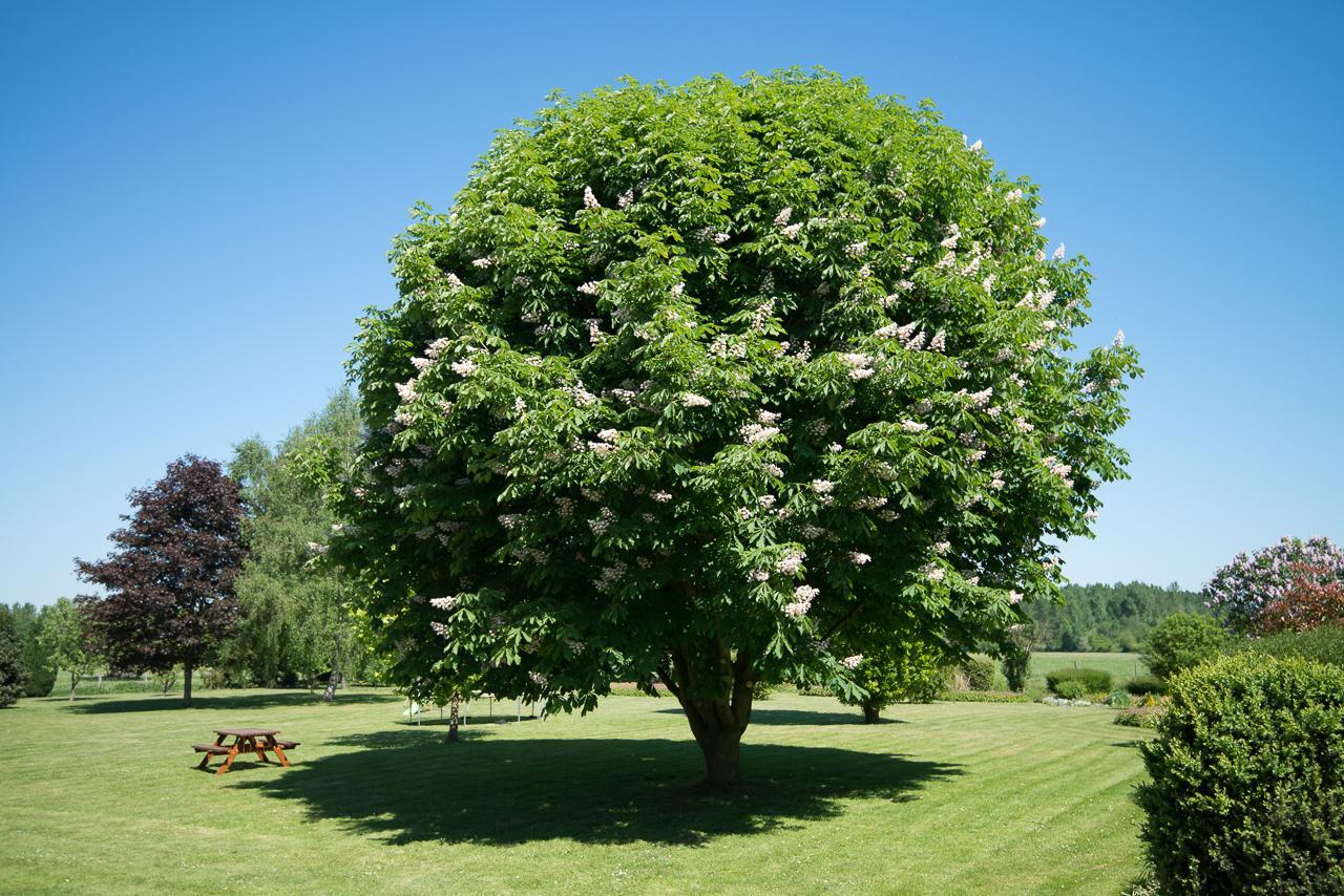 Вілла Au Jardin Fleuri Vauxaillon Екстер'єр фото