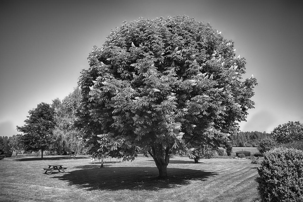 Вілла Au Jardin Fleuri Vauxaillon Екстер'єр фото